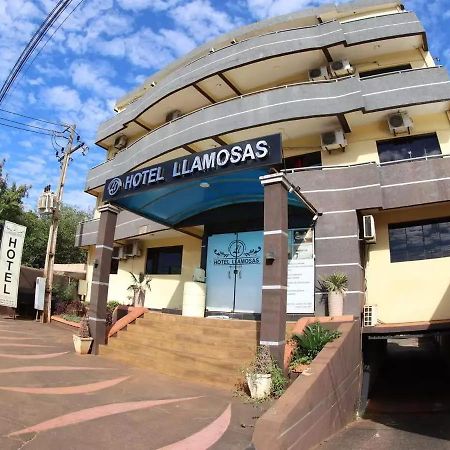 Hotel Llamosas Ciudad del Este Bagian luar foto